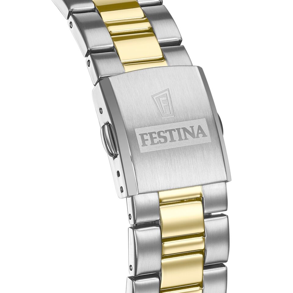 Festina Klasik F20554/1 Quartz Çelik Altın/Gri 40 mm Erkek Kol Saati