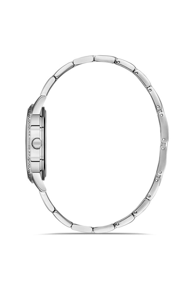 Momentus SW291S-02SS Çelik Gri 34 mm Kadın Kol Saati