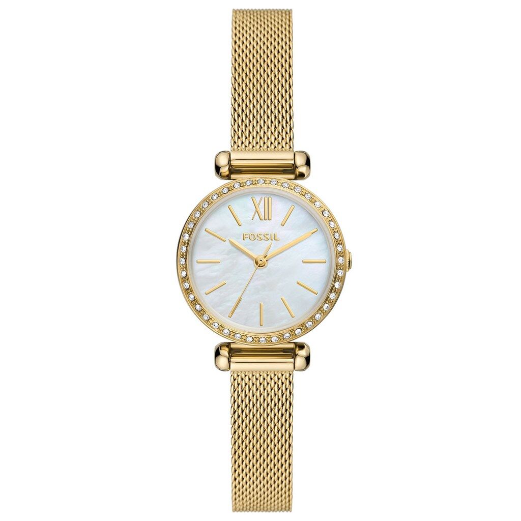 Fossil FBQ3898 Quartz Çelik Hasır 26 mm Kadın Kol Saati