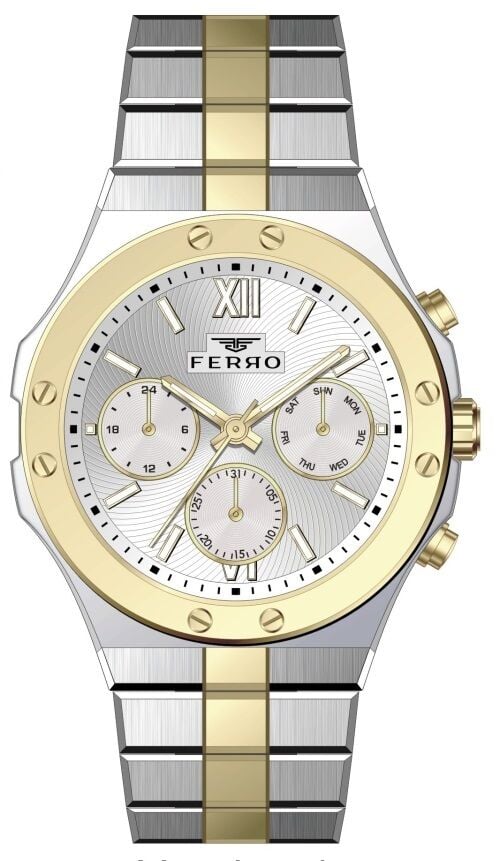 Ferro FM31356A-D 44 mm Gri Erkek Kol Saati