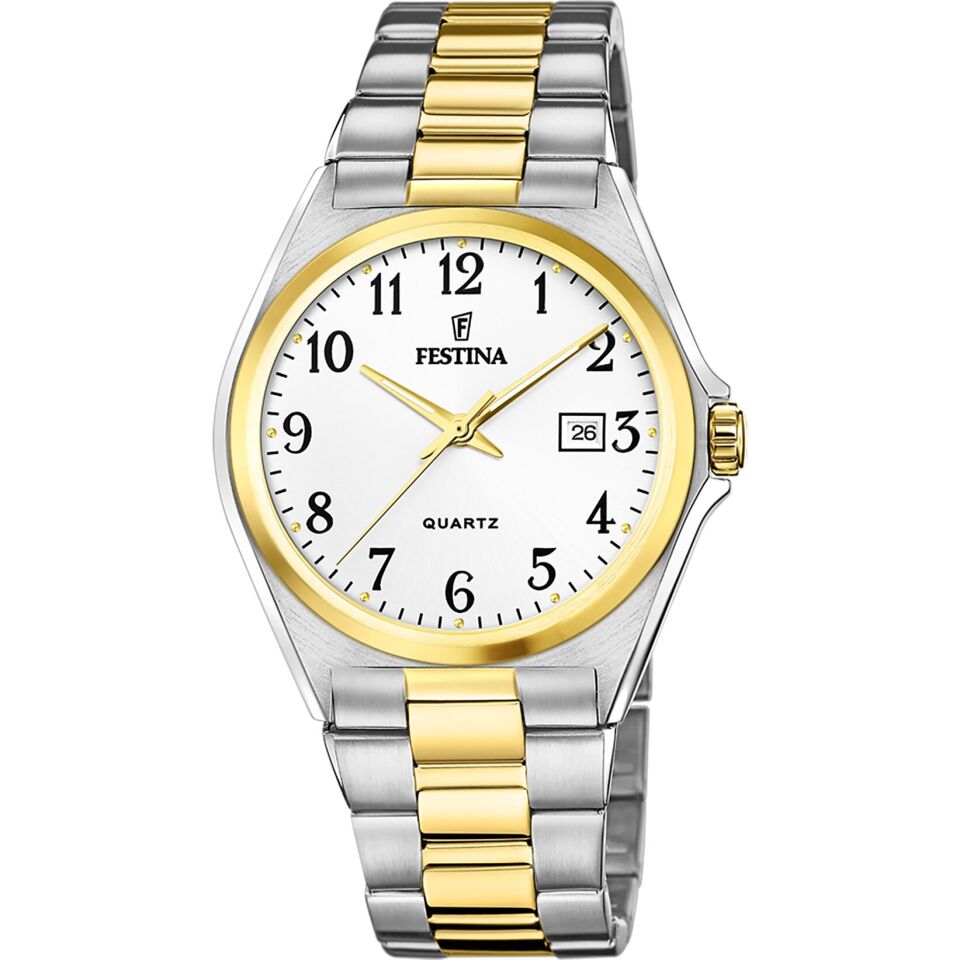 Festina Klasik F20554/1 Quartz Çelik Altın/Gri 40 mm Erkek Kol Saati