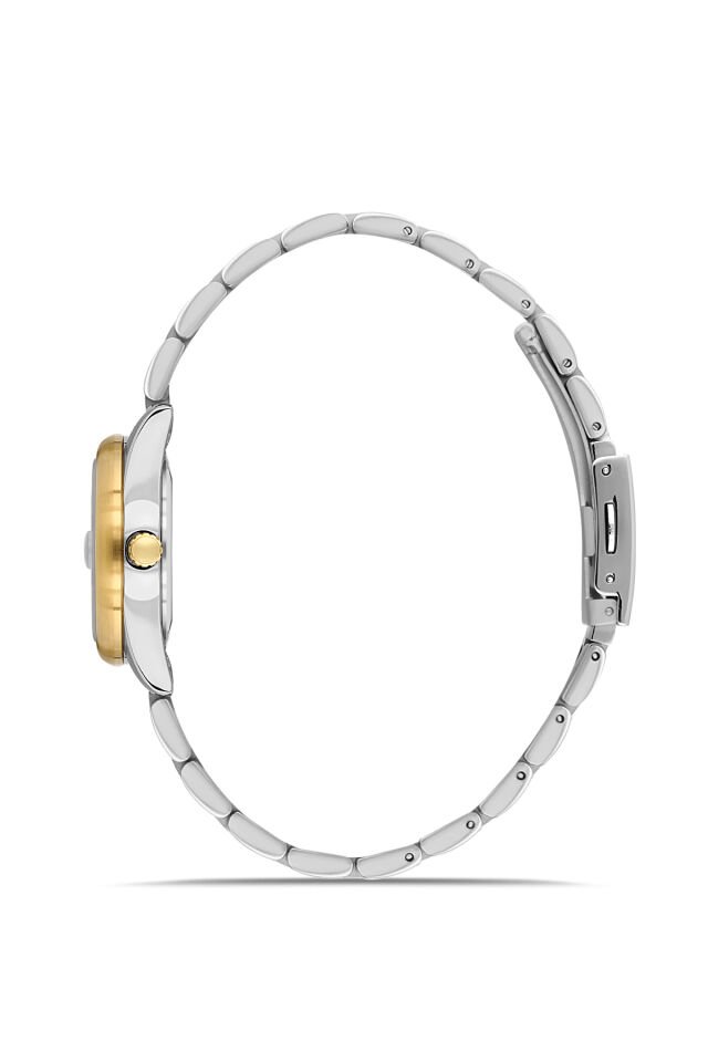 Ferro FL21618AWT-D6 Quartz Çelik Altın/Gri Yeşil Kadran 28 mm Kadın Kol Saati