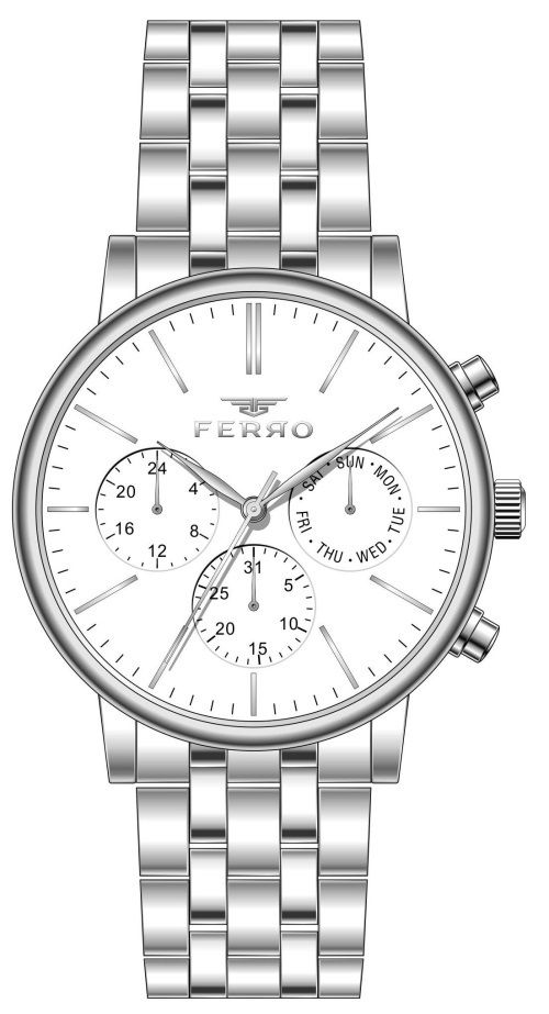 Ferro FM31372A-A Quartz Çelik Gri Beyaz Kadran 41 mm Erkek Kol Saati