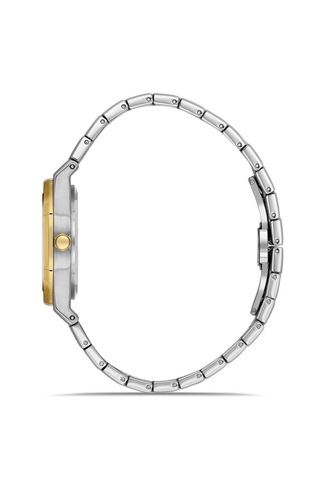 Ferro FL43029A-D Quartz Çelik Altın/Gri 33 mm Kadın Kol Saati