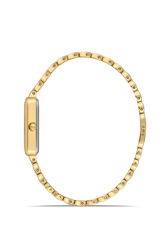 Ferro FL21511AWT-B Quartz Çelik Altın Rengi 33 mm Kadın Kol Saati