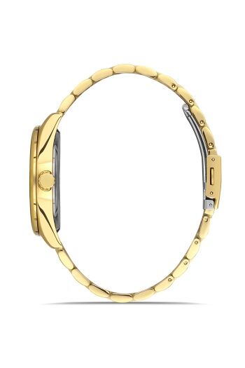 Ferro F11239A-B2 Quartz Çelik Altın Rengi 42 mm Erkek Kol Saati