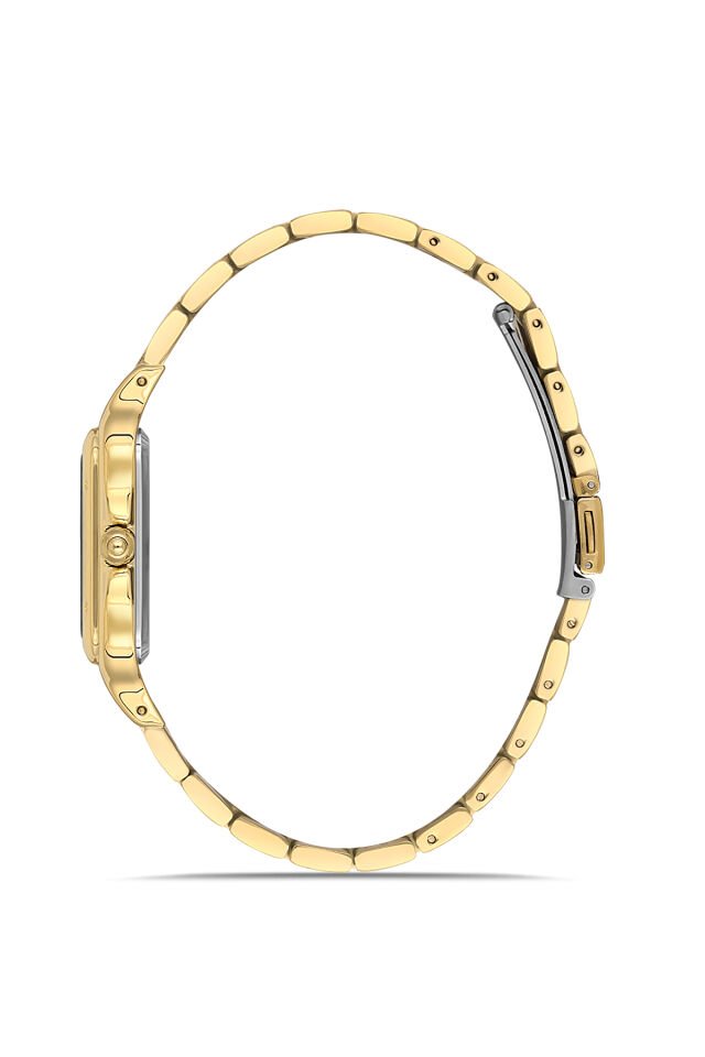 Ferro Sarı Çelik Kordon Erkek Kol Saati FL21622AWT-B2 3ATM Su Geçirmez 2 Yıl Garantili HediyePaketli