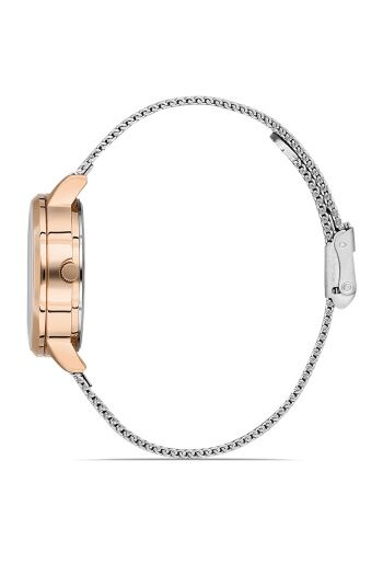 Ferro 32 mm Gümüş Hasır Kordon Kadın Kol Saati F21934C-E F21934C-E