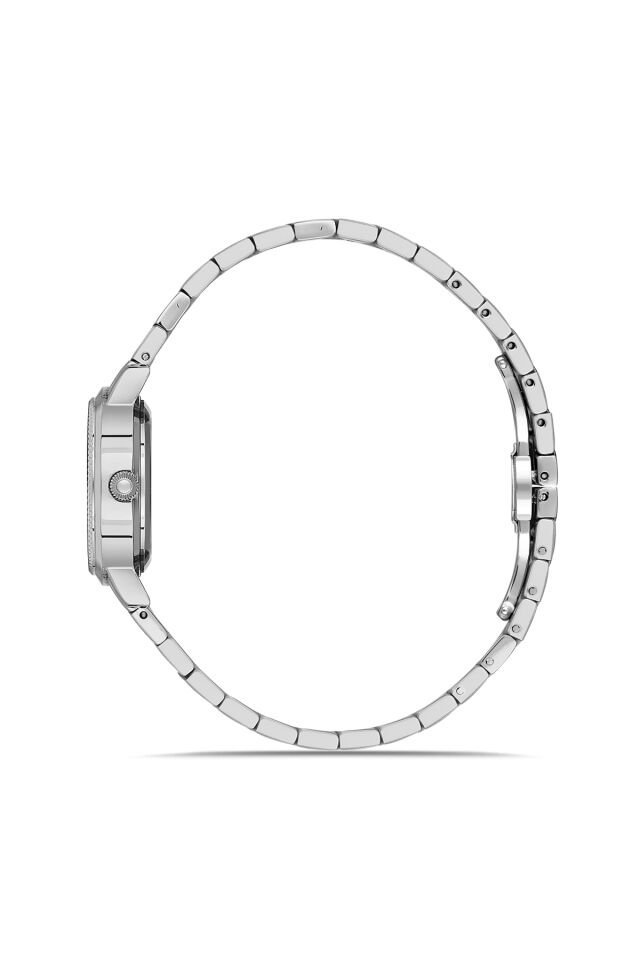 Ferro FL43009A-A Quartz Çelik Gri 28 mm Kadın Kol Saati