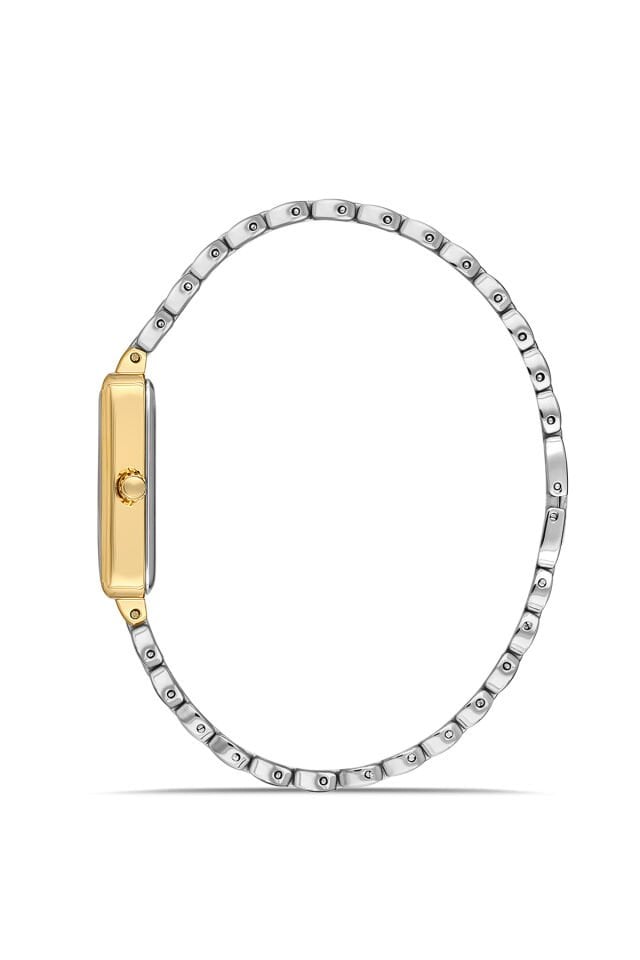 Ferro FL21511AWT-D Quartz Çelik Altın/Gri 20 mm Kadın Kol Saati