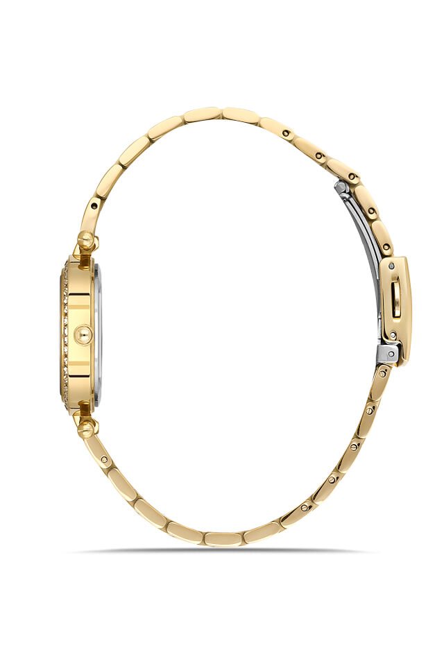 Ferro FL21593AWT-B Quartz Çelik Altın Rengi 30 mm Kadın Kol Saati