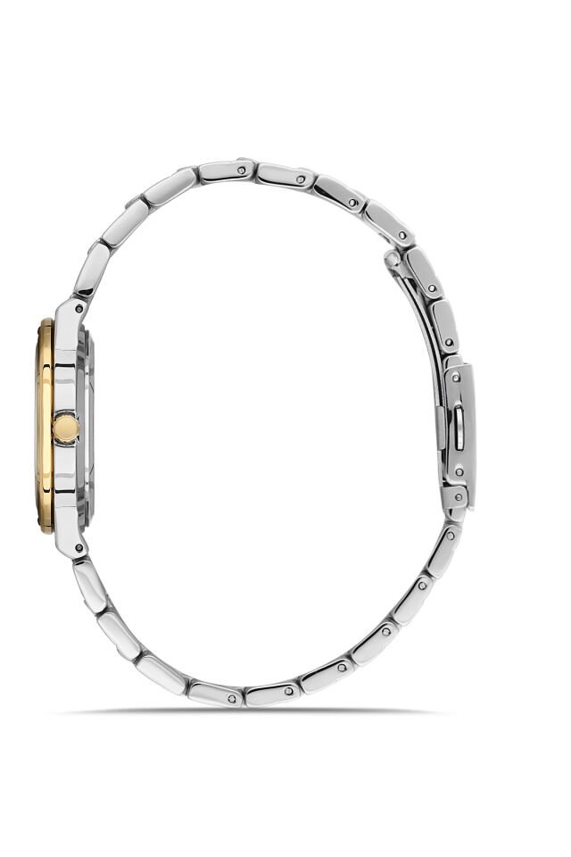 Ferro FL21586AWT-D6 Quartz Çelik Altın/Gri Yeşil Kadran 31 mm Kadın Kol Saati