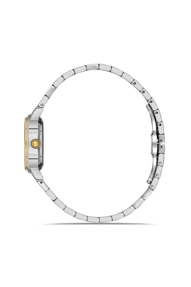 Ferro FL43009A-D6 Quartz Çelik Altın/Gri Yeşil Kadran 28 mm Kadın Kol Saati