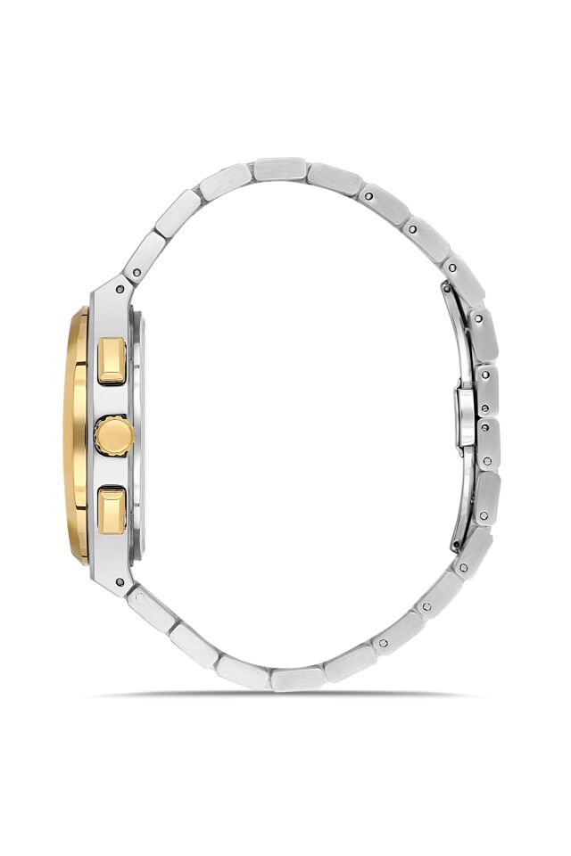 Ferro FM43027A-D6 Quartz Çelik Altın/Gri Yeşil Kadran 42 mm Erkek Kol Saati