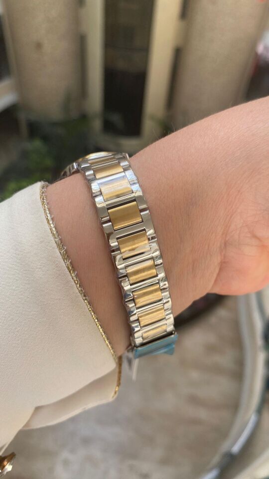 Ferro Quartz Çelik Altın/Gri 33 mm Kadın Kol Saati