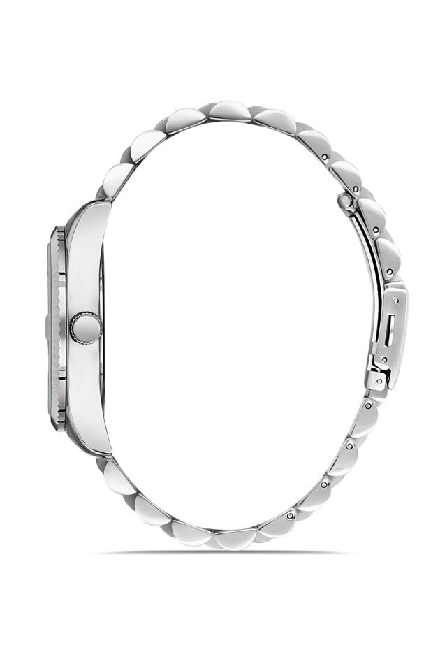 Ferro F11247A-A6 Quartz Çelik Gri Yeşil Kadran 41 mm Erkek Kol Saati