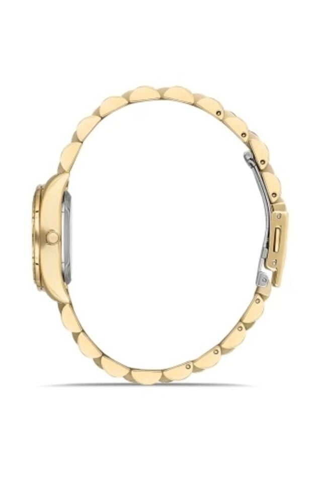 Ferro Fl21450a-b2 Quartz Çelik Altın Rengi Siyah Kadran 28 mm Kadın Kol Saati