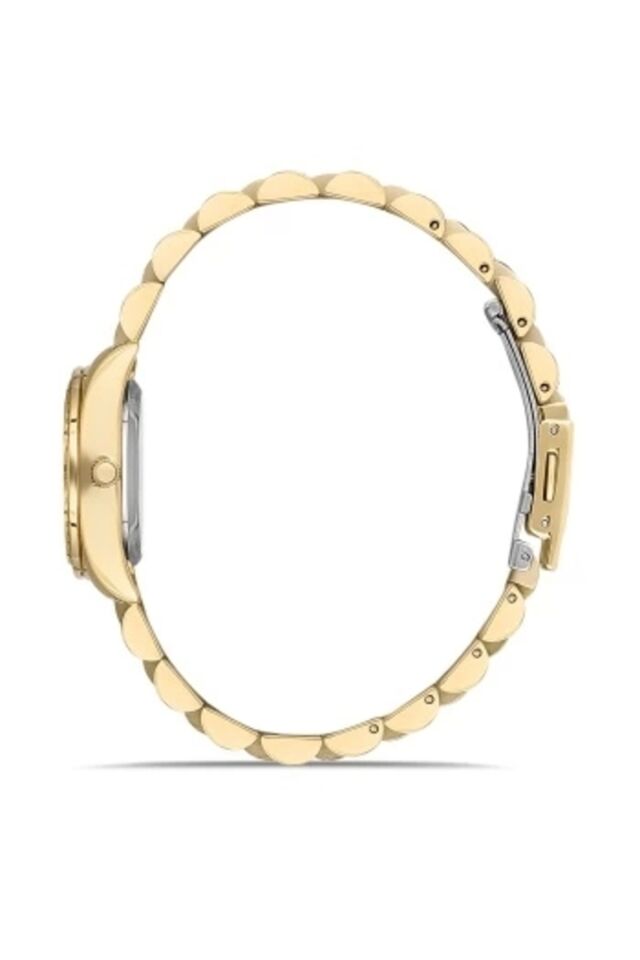 Ferro Fl21450a-b2 Quartz Çelik Altın Rengi Siyah Kadran 28 mm Kadın Kol Saati