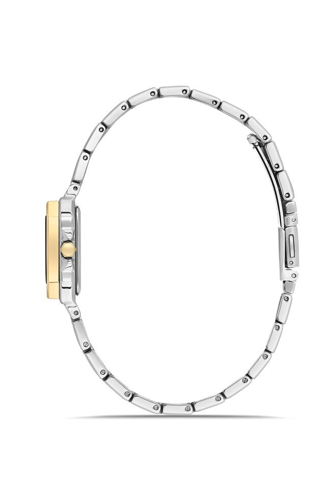 Ferro FL21609AWT-D6 Quartz Çelik Altın/Gri Yeşil Kadran 25 mm Kadın Kol Saati