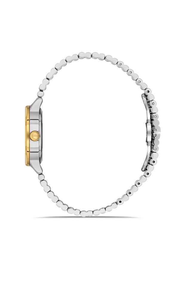 Ferro FL43010A-D Quartz Çelik Altın/Gri 30 mm Kadın Kol Saati