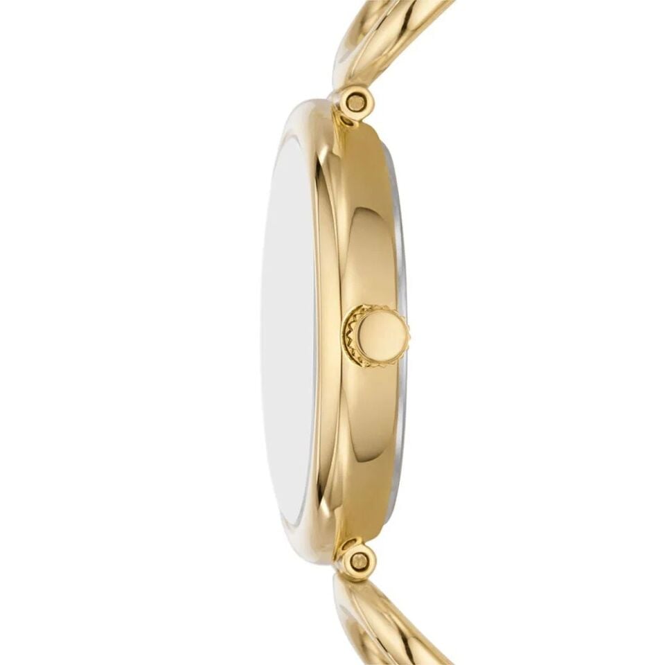 Fossil FES5272 Kadın Kol Saati