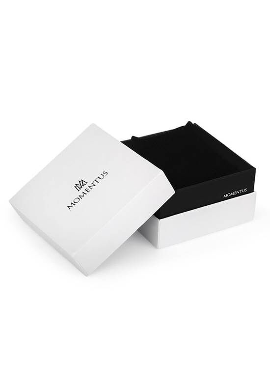 Momentus CC235B-04SS Erkek Saat