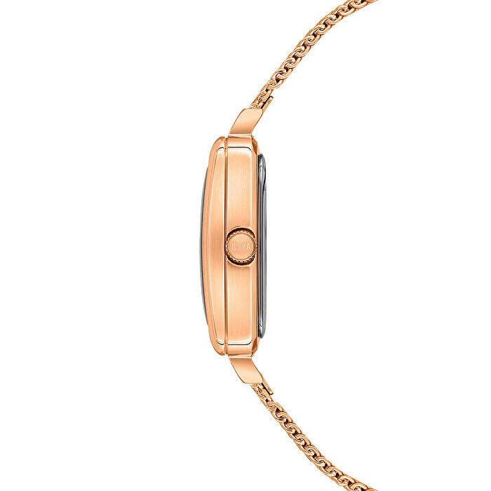 U.s. Polo Assn. USPA2097-06 Quartz Çelik Hasır Rose 26 mm Kadın Kol Saati