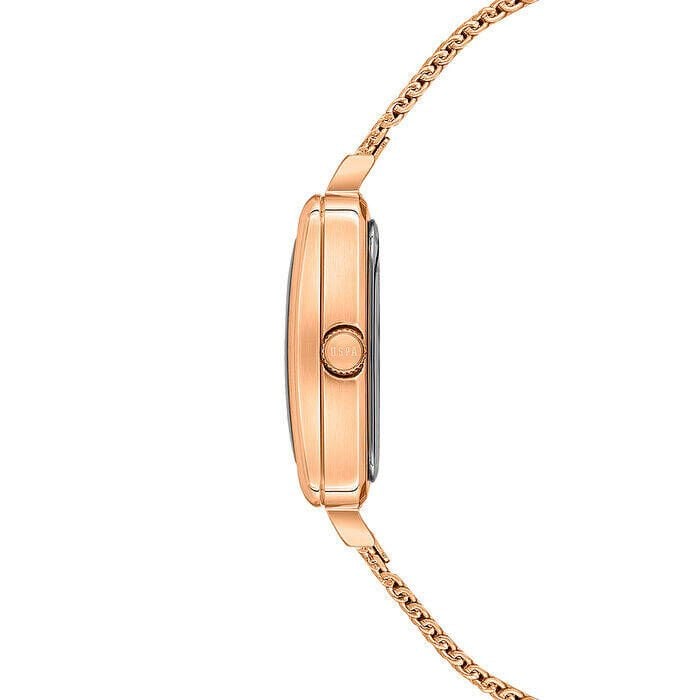 U.s. Polo Assn. USPA2097-06 Quartz Çelik Hasır Rose 26 mm Kadın Kol Saati