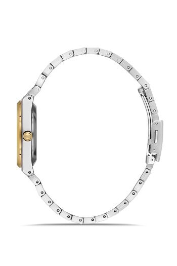 Ferro FL21495A-D Quartz Çelik Altın/Gri 32 mm Kadın Kol Saati