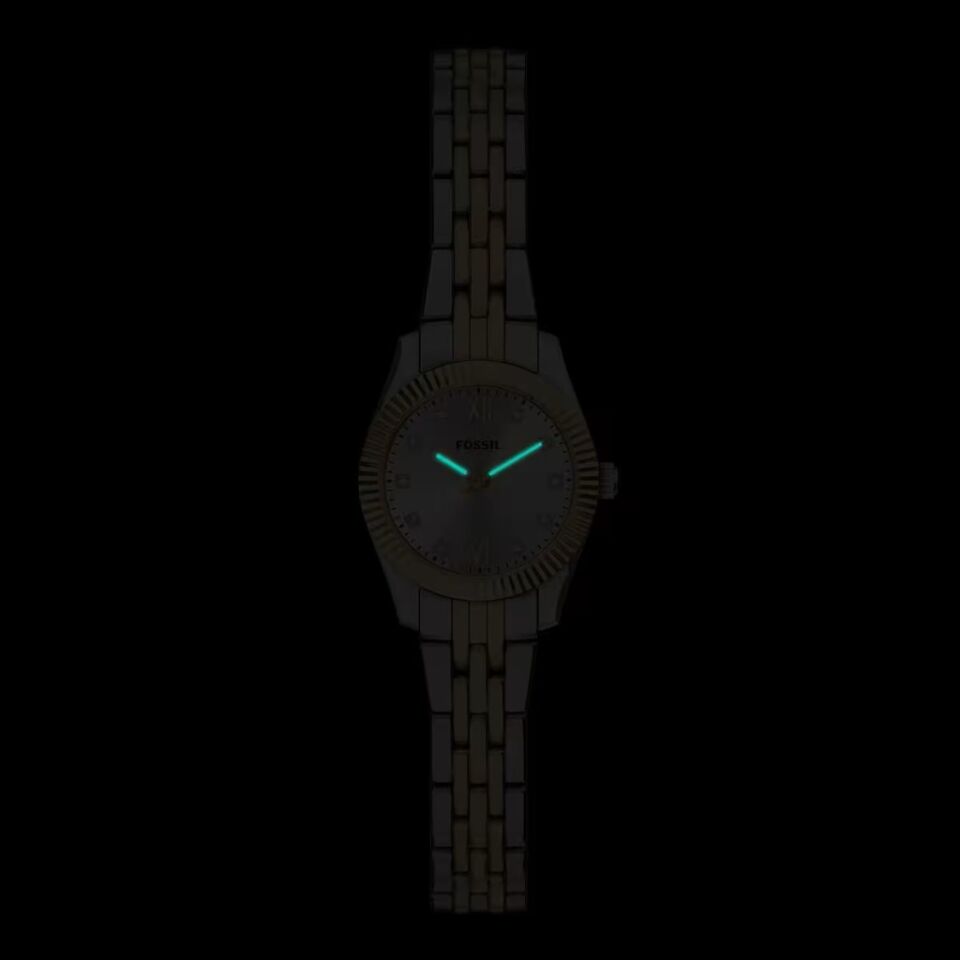 Fossil FES5473 Kadın Kol Saati