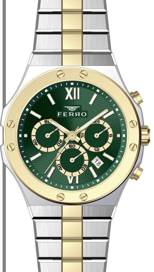 Ferro FM31356A-D10 44 mm Gri Erkek Kol Saati