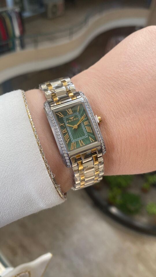 Ferro Quartz Çelik Altın/Gri Yeşil Kadran 22 mm Kadın Kol Saati