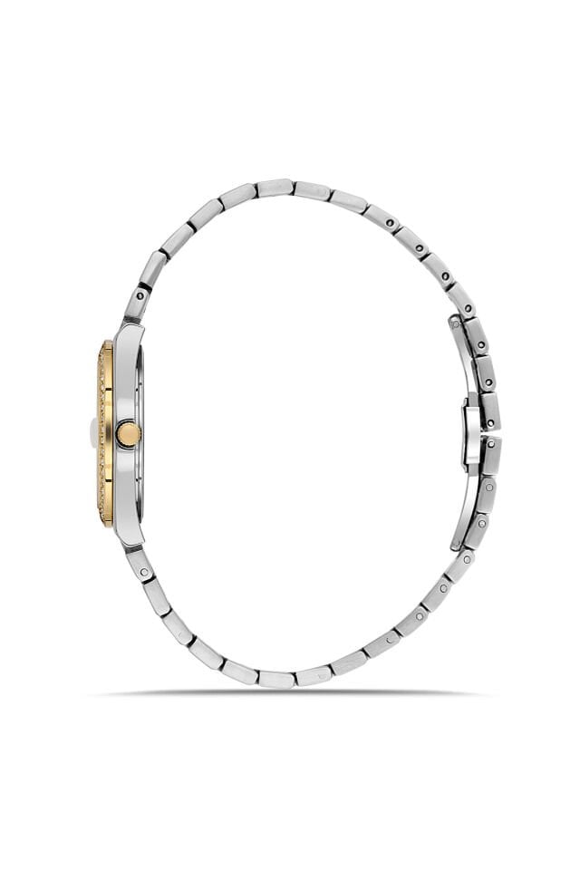 Ferro FL21596AWT-D Quartz Çelik Altın/Gri 30 mm Kadın Kol Saati