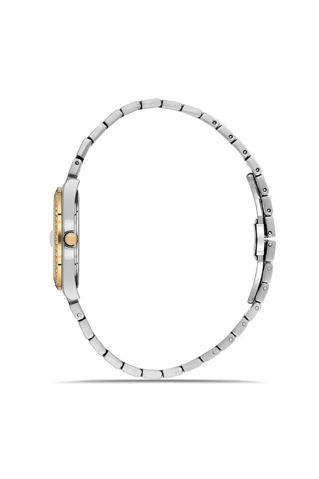 Ferro FL21596AWT-D Quartz Çelik Altın/Gri 30 mm Kadın Kol Saati